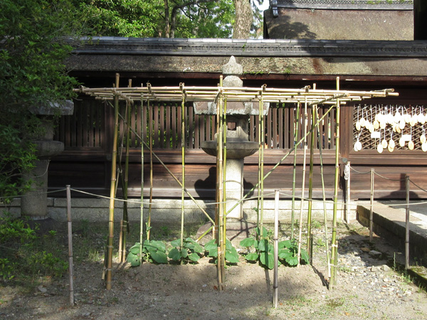 豊国神社の国宝唐門のすぐ横