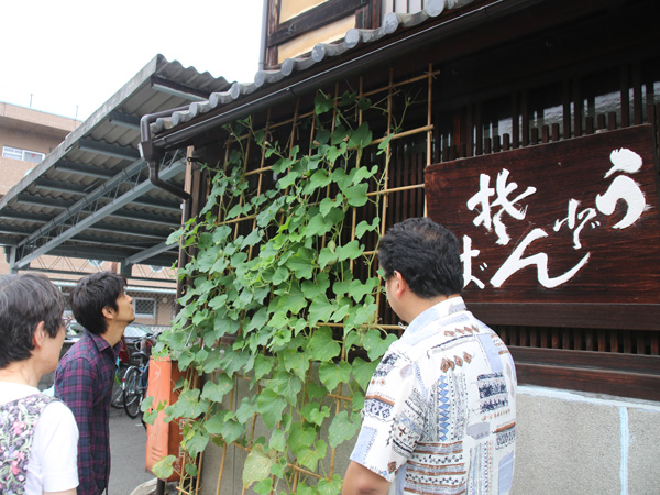 祇園の宿前での瓢箪栽培　取材の様子