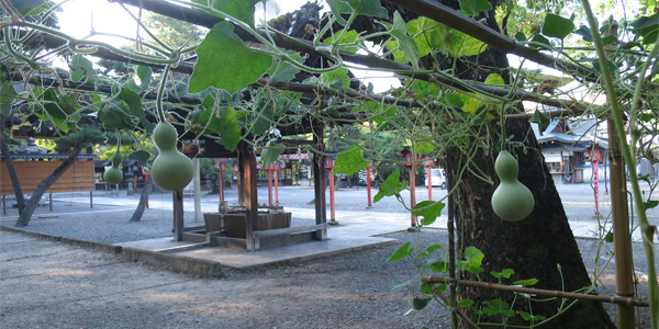 豊国神社の瓢箪