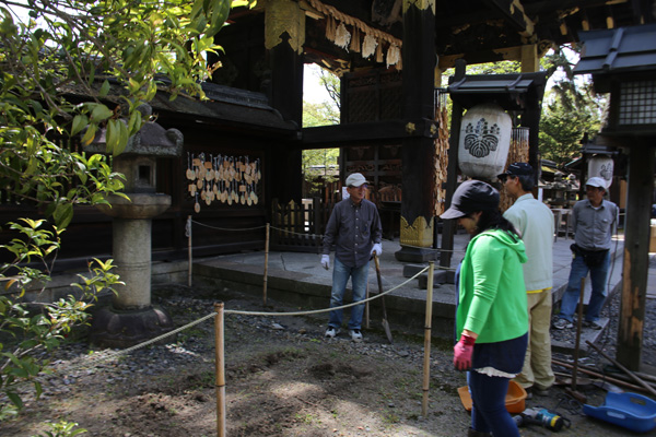 豊国神社の瓢箪の棚作り