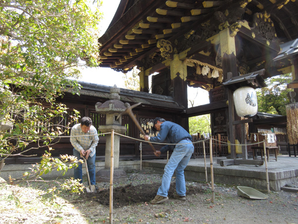 豊国神社の瓢箪の棚作り