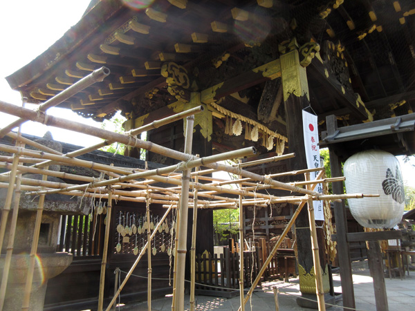 豊国神社の瓢箪