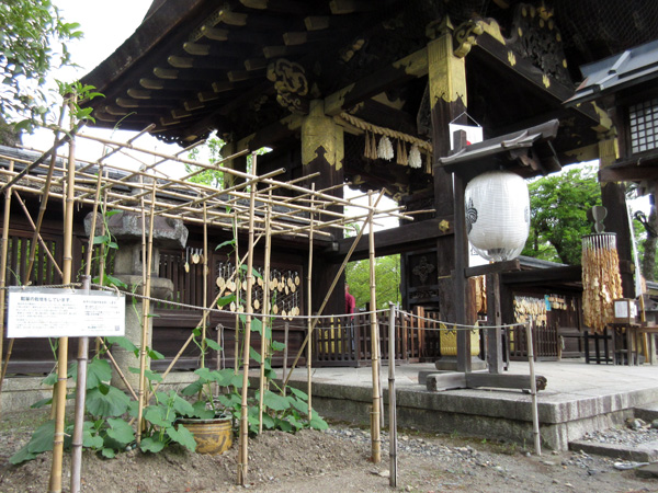 豊国神社の唐門と瓢箪