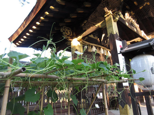 豊国神社の瓢箪棚の様子
