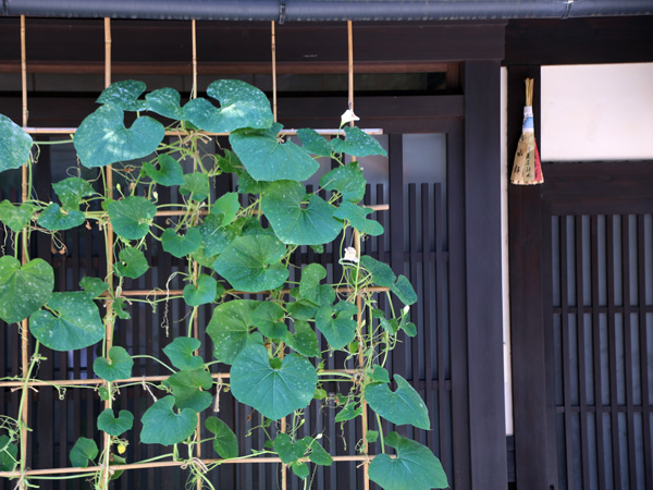 祇園の京町家と瓢箪